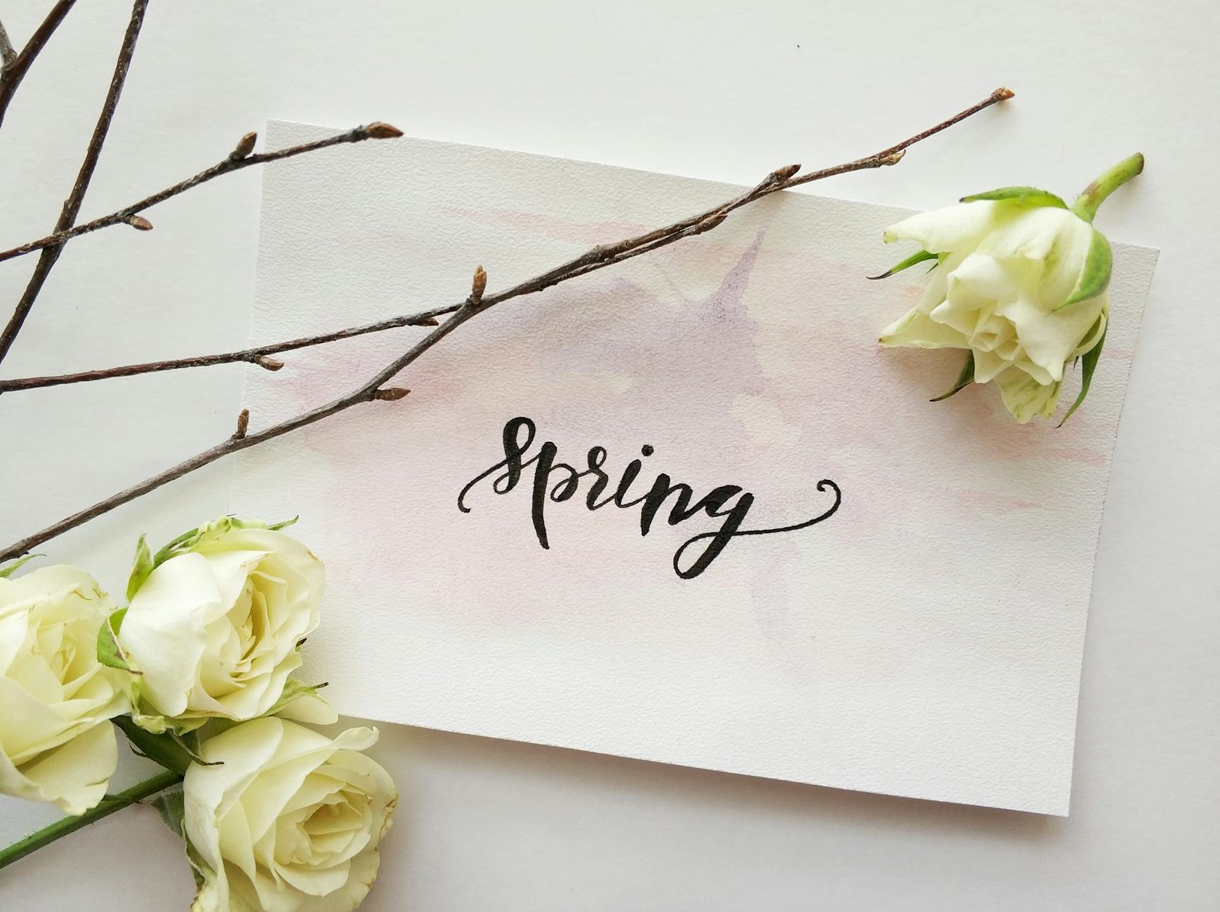 Hello spring!