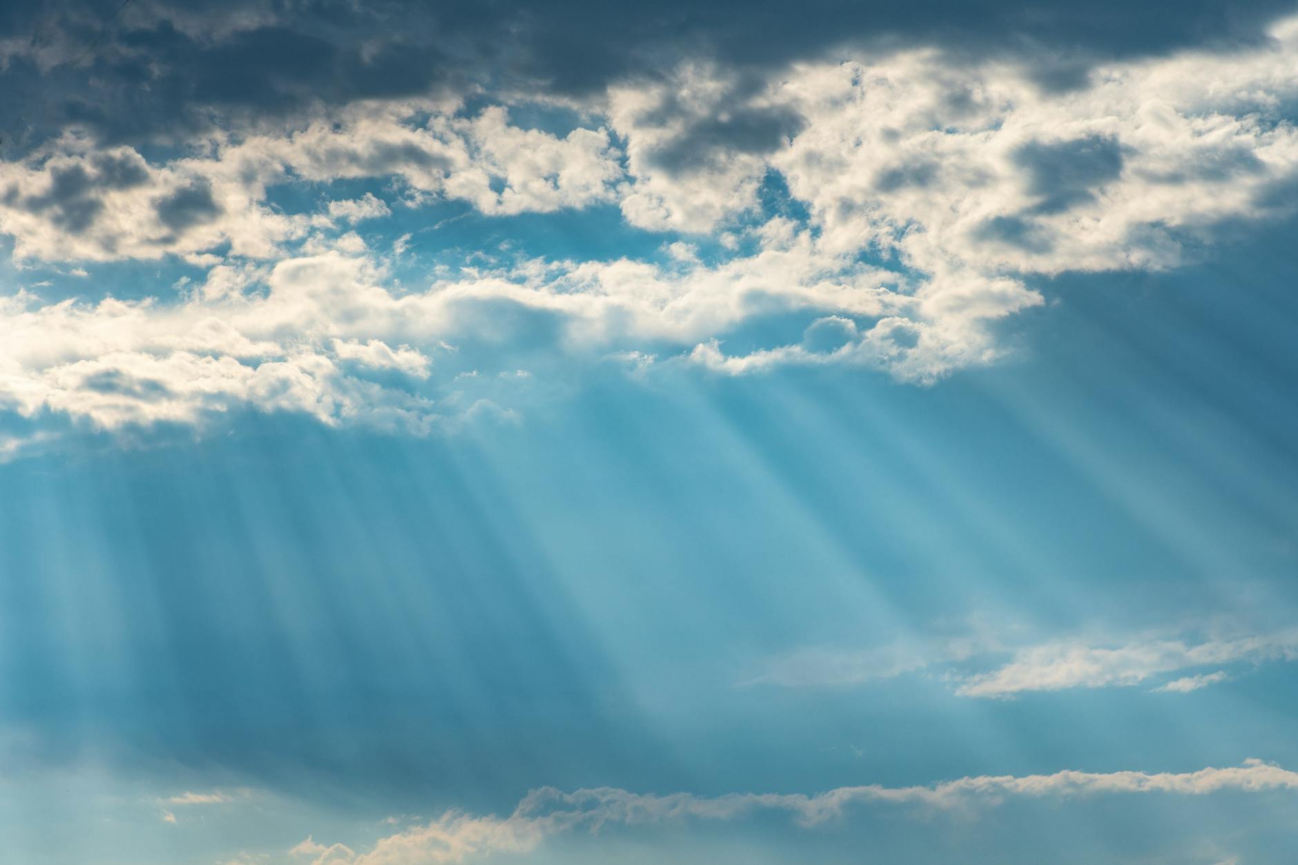 Everlasting Life