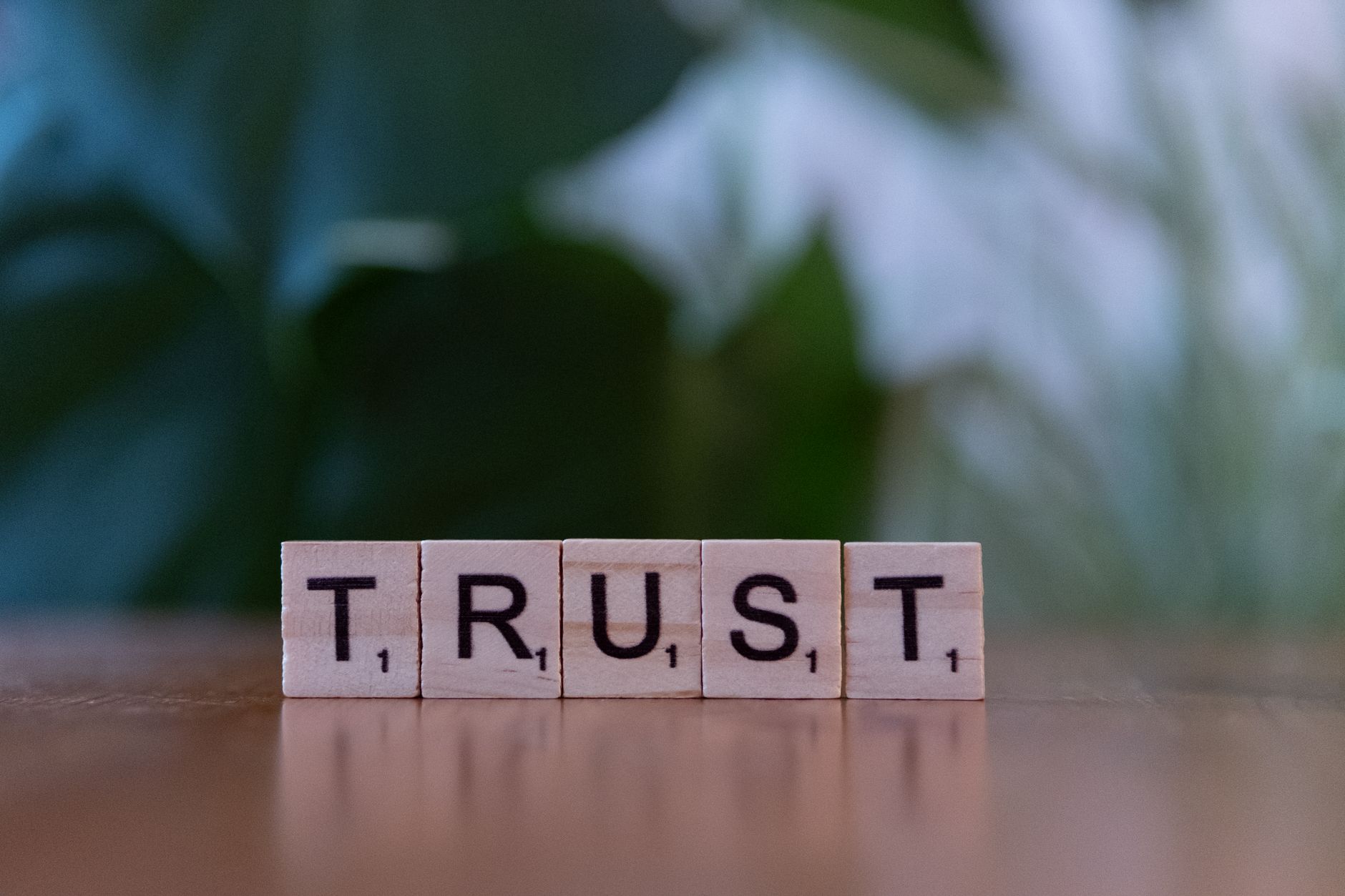 Trust His Process